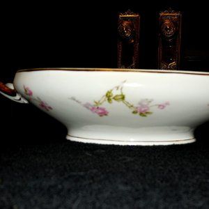 C.T. Altwasser Porcelain Serving Bowl Carl Tielsch Altwasser  vintage